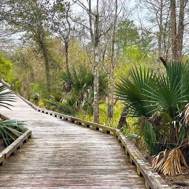 Boardwalk Left Sq