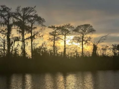 Wintersunset