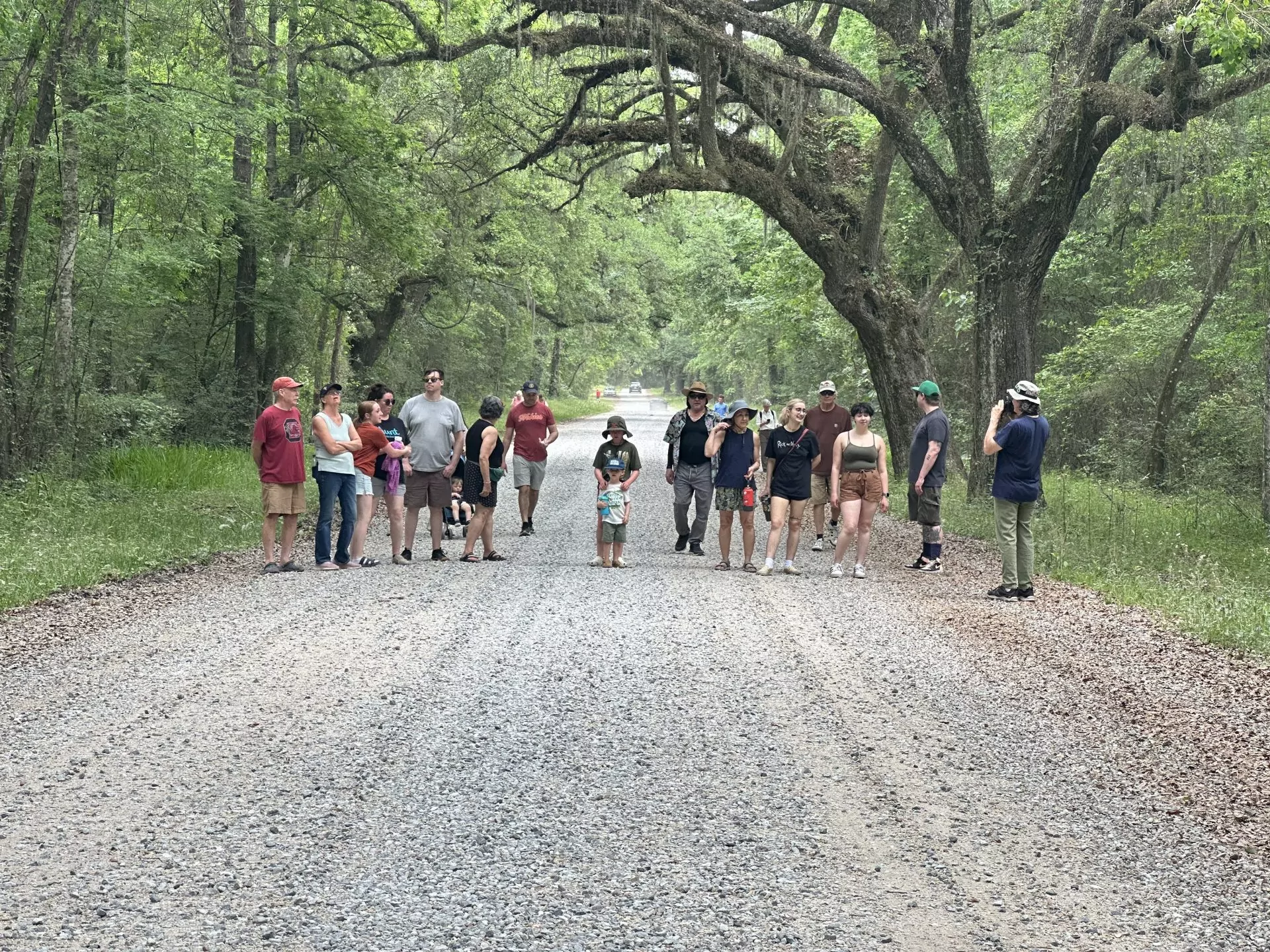 Southernliveoakwalk